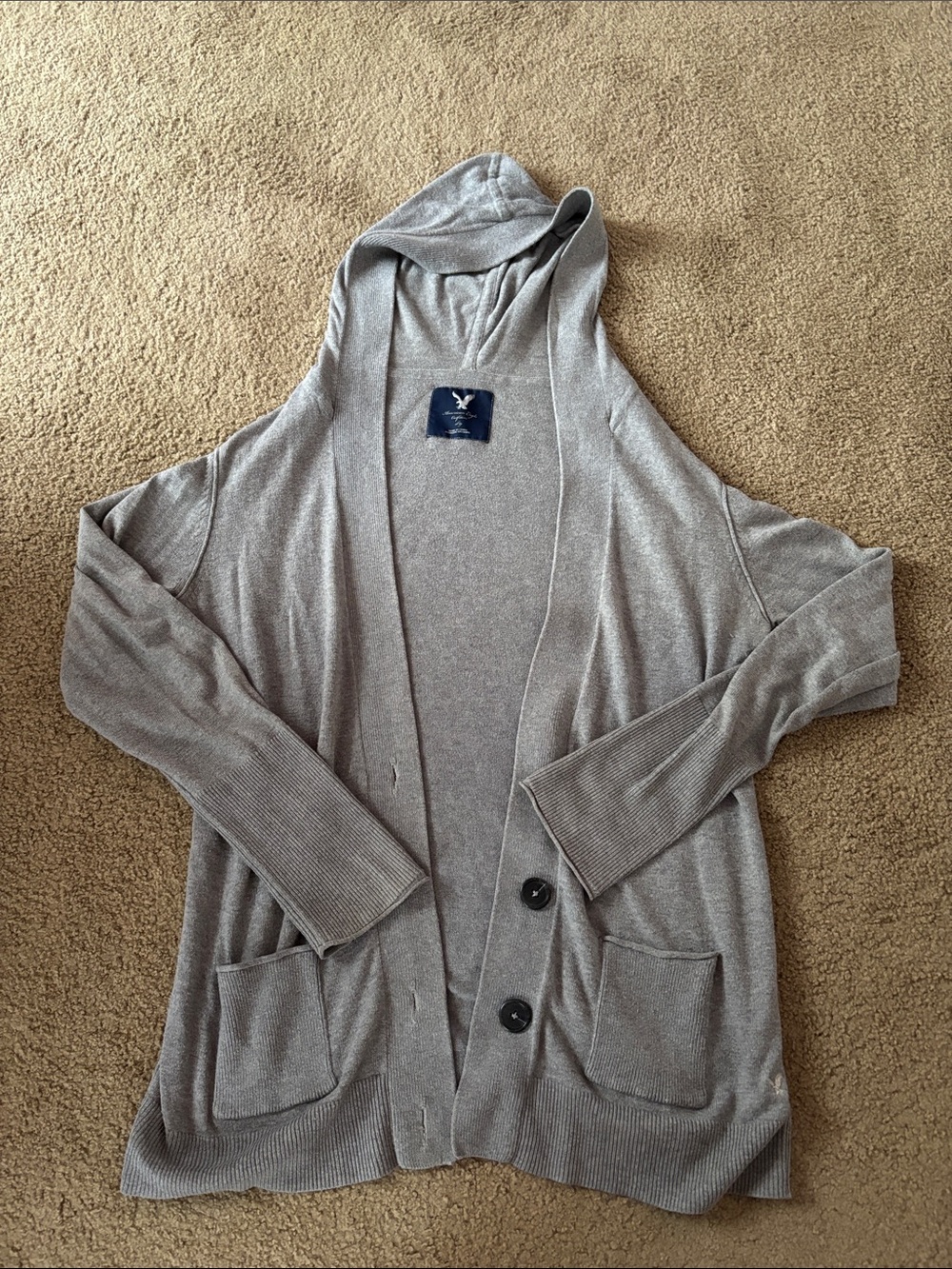 American Eagle Hooded Cardigan